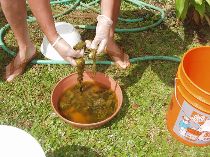 bucket inspection day 3