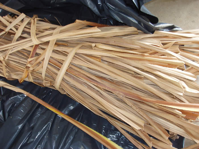 leaves ready for stripping