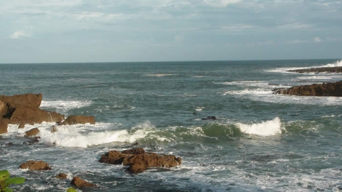 kaimoana