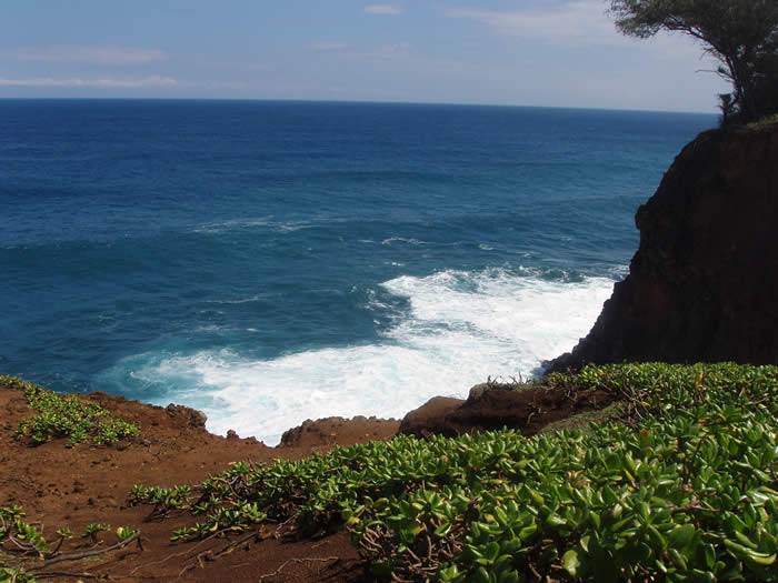Clifts at Niulii