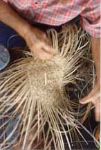 weaving lauhala hat