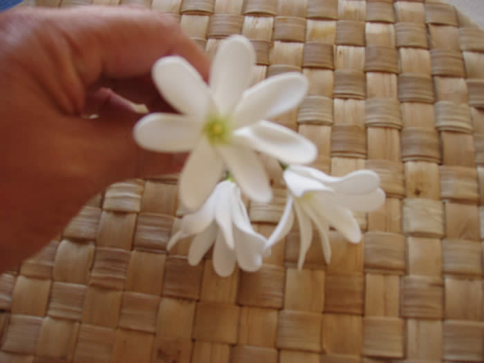 Tiare Tahiti